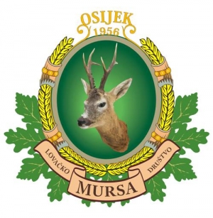 Osijek:   60  godina LD „Mursa“ Osijek