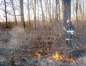 Koška: Požar u lovištu