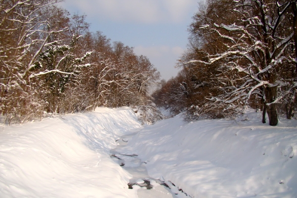 Snijeg zameo lovišta na području OBŽ